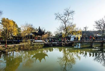 【上海出发】拙政园+狮子林+寒山寺+山塘街纯玩一日游【纯玩无购物 自主发班，职专线导游管家式服务，一车到底不换车，服务至上！苏州出发古城区2人起免费接】