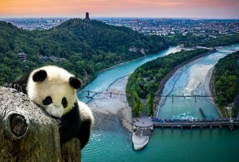 都江堰+（熊猫基地/熊猫乐园）一日游含门票+午餐三环内接早。【[品质承诺]亲子游必选，三环内免费接早，正规旅游车】