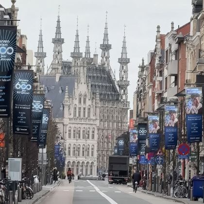 鲁汶市政厅+圣格特鲁德教堂+鲁汶大学+博物馆+修女院包车游