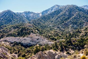 美国+洛杉矶+好莱坞星光大道一日游/行程可调-可定制多日【包车一日游，解锁旅行新方式！独立车辆配备经验丰富的老司机，为您量身打造专属行程。】