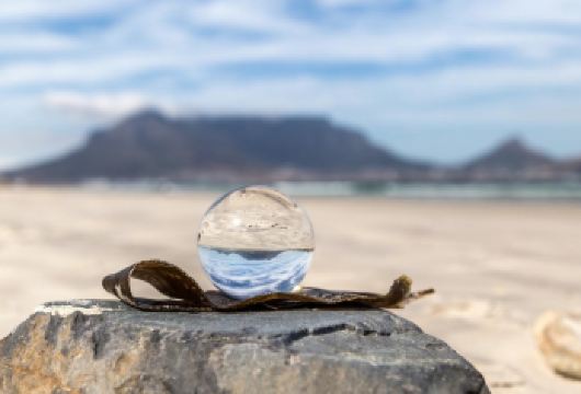 南非开普敦包车一日游 信号山+桌山+大康斯坦夏葡萄庄园【探访地理书中的桌山，信号山，鲜花奇石海岸线，这里是全球背包客徒步打卡的】