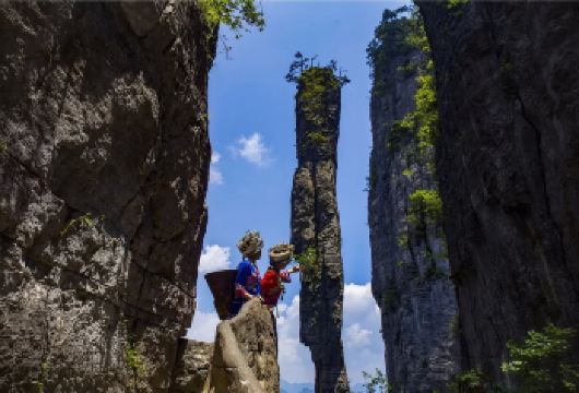 恩施大峡谷+云龙地缝+七星寨景区一日游 纯玩无购物 【恩施经典景区网红景点，多种套餐，景区景点任您挑选，天天发班！】