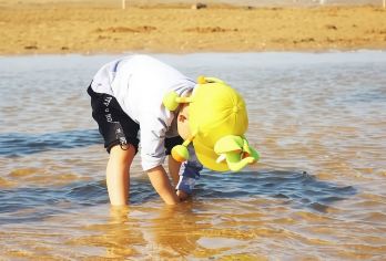 青岛仰口+会场赶海园+环海公路+青山渔村【免费赶海提供工具】【[品质体验]免费提供赶海工具，挖嘎啦、抓螃蟹、钓蛏子与大海来一场饕餮盛宴，本地土著手把手教学赶海。】