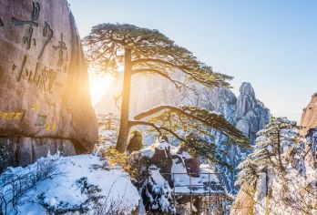 黄山包车1日游【专车接送+1对1持证导游讲解】【纯玩独立包车，全程专车接送+私人导游讲解】