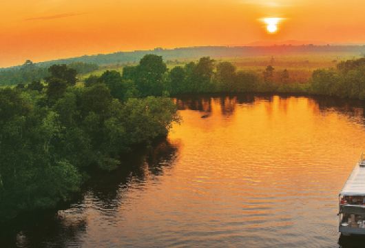 威斯顿 红树林与萤火虫河游船 | 沙巴 州哥打京那巴鲁【乘坐游船，悠闲地穿过韦斯顿茂密的红树林湿地，欣赏河流上令人惊叹的日落美景，欣赏夜幕降临后，河岸边成千上万只萤火虫闪烁】