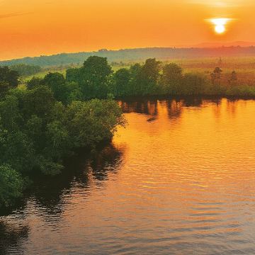 威斯顿 红树林与萤火虫河游船 | 沙巴 州哥打京那巴鲁