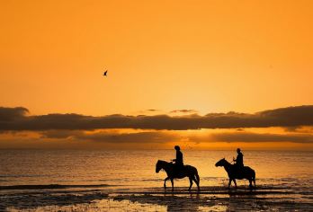 西宁：青海湖+塔尔寺+拉脊山+私人定制/行程可调一日游@【拉脊山全景视野：登顶3820米山口，俯瞰雪山草原与五彩经幡交织的壮美画卷】