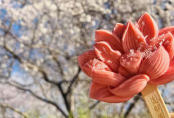 圆明园半日活动｜蜗牛文旅·可选择多种团型/中/英/粤语导游讲解【覆盖中 / 英 / 粤语讲解，中外游客皆能清晰聆听圆明园历史细节，无需担心语言隔阂，文化理解更顺畅。】