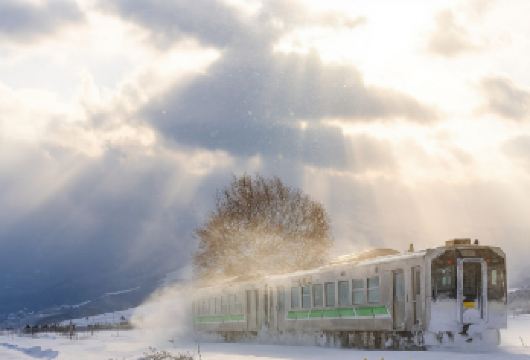 日本北海道+旭山动物园+青池一日游/行程可调-可定制【专属客服和本地中文司机，一家一团包车】