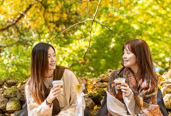 腾冲火山公园+银杏村+北海湿地一日游升级可选游船竹筏温泉演出【[火山公园]腾冲的名片，探索火山地貌大空山壮观、小空山秀美；】