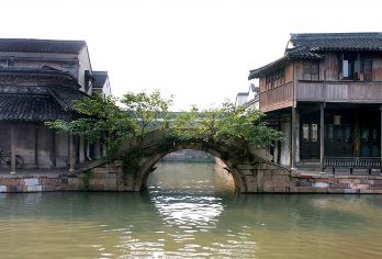 杭州乌镇东栅+西塘古镇+能仁寺一日游【含导游，主城内上门接】【一天游玩2大5A级水乡古镇，同时可欣赏到西塘水乡的夜景】