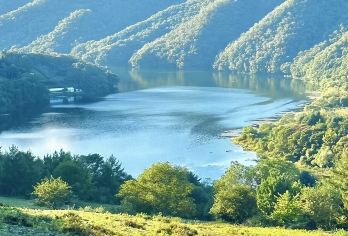 春川包车五大体验：岛游、骑行、赏花、观湖、吃鸡排【无需为交通烦恼，舒适专车全程接送，行程灵活自由，随心掌控游览节奏。】