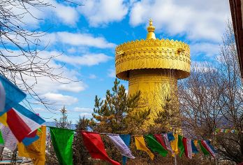 香格里拉一日游【虎跳峡+伊拉草原纳帕海+可选松赞林寺】【[当天往返]丽江往返，一日行程，领略香格里拉风采。】