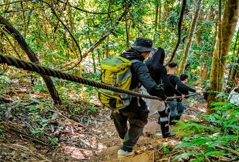 基诺山雨林徒步纯玩商务团【西双版纳文旅大补贴+安心小团】【[雨林攸乐]走进原始热带雨林文化、开启一场“很野·但很自由”的主题概念游、餐饮品质好一点】