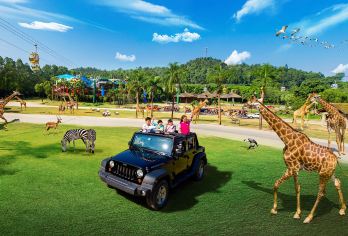 沙湾古镇+长隆度假区+广州塔+珠江夜游【包车定制，行程可调】