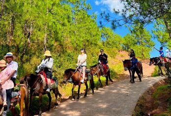 丽江玉湖村+姊妹湖一日游【雪山脚下骑马、腊排骨火锅、接送 】【姊妹湖与玉湖村的组合,适合一天的游玩,尽享湖光山色与古镇风情！】
