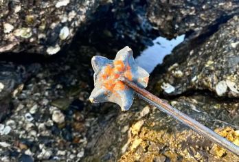 青岛崂山风景区一日游【6人内·精致小团·赶海+渔村】【[精致小团]老牌青岛本土向导队伍为您服务，因为专注所以专业！】