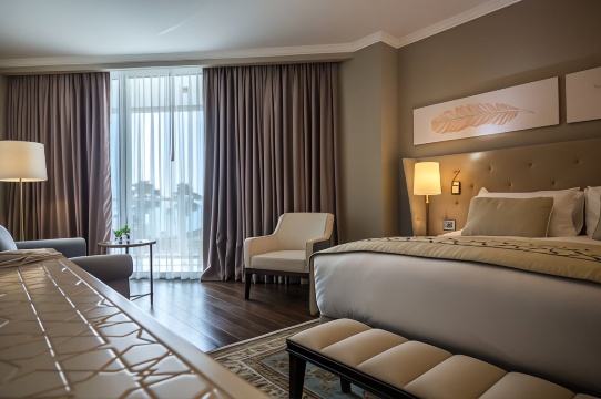 David Tower Hotel-官方