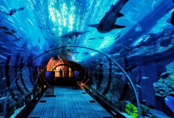 小团纯玩青岛极地海洋公园一日游+市内5大景点/送船票/无购物【经典景点，老牌旅游线路】