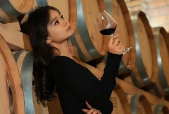 银川酩悦轩尼诗夏桐酒庄+源石酒庄+龙谕酒庄一日游【私家包团，品酒师领队全程陪同，行程含8款美酒品鉴，带你了解酒庄文化，学习葡萄酒知识 。】