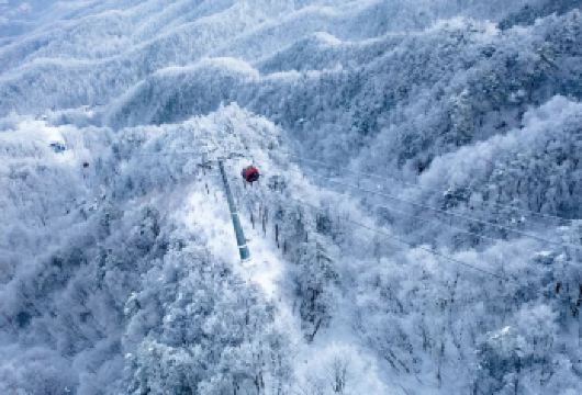 洛阳白云山1日游◆天天发车◆大学生活动专享价含景区交通【大学生（研究生）专享活动】