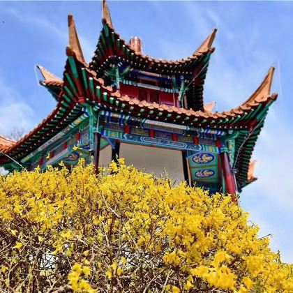 【龟山汉墓+云龙湖+宝莲寺+戏马台】A线  主城区上门接送