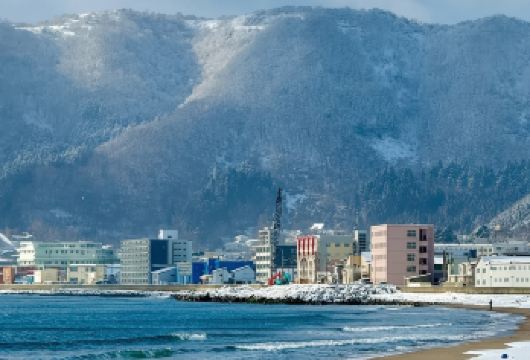 日本札幌往返旭川富良野美瑛经典网红景点打卡-可包车-精选【专属客服和本地中文司机，一家一团包车】