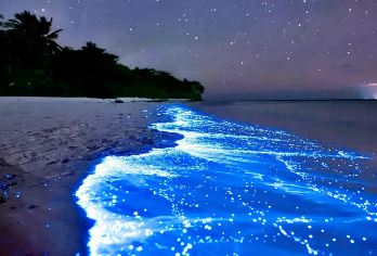 福建福州平潭岛一日游【上门接送+纯玩包车+多地出发】【[觉美平潭]带家人一起去看蓝眼泪！在那一片海，属于我们的颜色！】