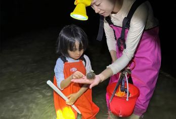 海南陵水南湾猴岛趣味赶海【抓海星海胆丨赶海工具丨领队服务】【赶海纯玩2小时领队全程服务】