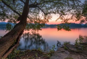 杭州+西湖+清河坊街+南宋御街+万松书院+城隍阁 地陪导游G【全程中文/英文/俄语/小语种服务，沟通无障碍，景点可调】