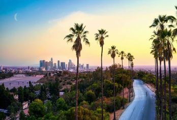 美国洛杉矶网红景点-包车&盖蒂中心-比佛利山等【精选】【包车一日游，解锁旅行新方式！独立车辆配备经验丰富的老司机，为您量身打造专属行程。】