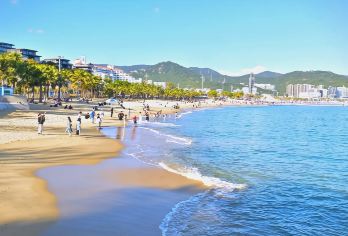 漫游鹏城丨深圳市区纯玩一日游丨含深港环海游+平安金融云际观光【[行程透明]全程无隐性消费,全程透明消费,专业接待及贴心服务 ！】