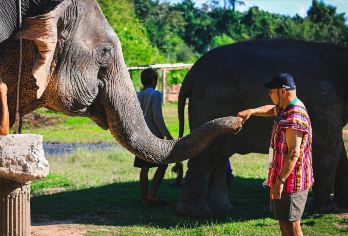 泰国清迈纳财大象营一日游【粘粘瀑布丨骑大象丨大象洗澡含午餐】【[拥抱大象营]喂大象、帮大象洗澡、了解大象习性，与大象亲密接触！】