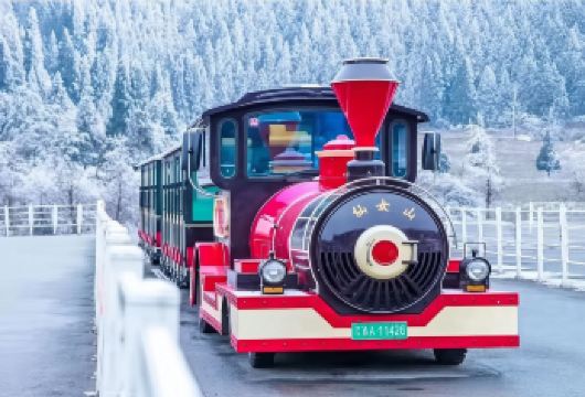 武隆仙女山森林公园一日游|送暖宝宝手套•定点接•有直通车位【[安心出游]全程纯玩不购物，不强制消费，直达景区，主城多区重点区域定点接驳 ，送暖宝宝+手套。】