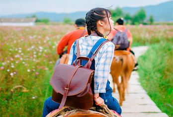丽江拉市海湿地公园+茶马古道一日游|可定当天小团骑马湿地门票【[158元套餐]含骑马+午餐+湿地门票，不含划船；[197套餐]含骑马+午餐+湿地门票+湿地划船】