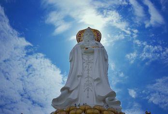 南山海上观音专车游<1单1团>随时出发丨南山门票丨赠矿泉水【一单一团，随时出发，私密性更高】