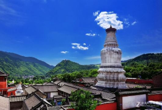 五台山祈福一日游4-8人精品团【忻州市区接送，邂逅五台山】【舒适小团出行:8 人尊享小团，节奏自由把控+乘坐更加舒适，跟着自己节奏走，更灵活】