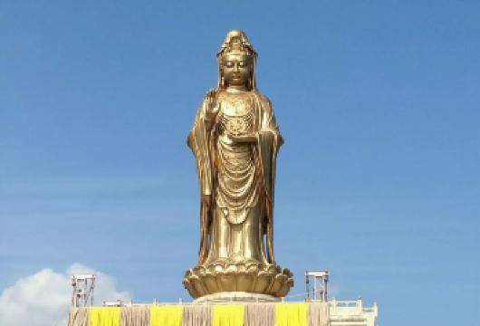 普陀山风景区一日游【无购物️️^^含门票+往返船票】静心纯玩【[精心安排]保证天天发团。许愿、还愿必到精华景点。】