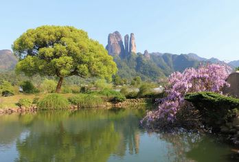 衢州江郎山风景名胜区+清漾毛氏文化村一日游【四人成团】【[缤纷景点]地质奇观，一山三爿，江南毛氏发祥地】