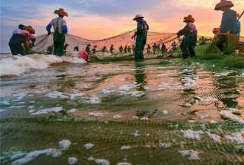 湛江硇洲岛一日游【火山大岛硇洲岛+海龟城+硇洲灯塔+宋皇井】【湛江市区上门接送包车一日游】