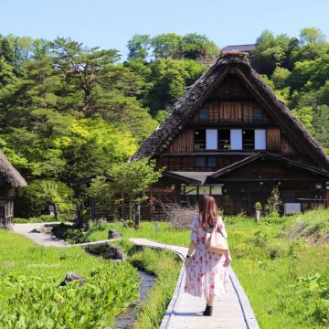 日本名古屋白川乡+飞驒tuo高山+《你的名字》纯玩一日游