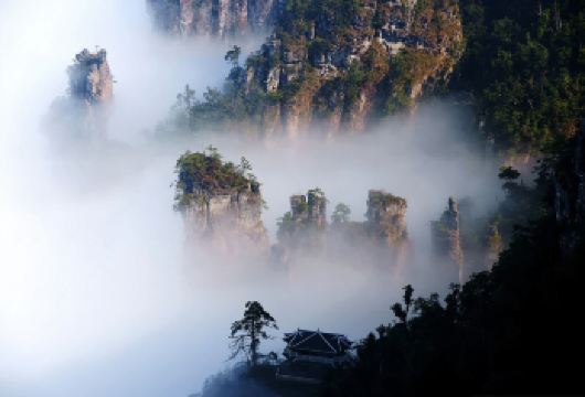 金秀大瑶山盘王界+木达木弄+瑶族博物馆一日游（私家团）【集黄山、庐山、张家界之美于一身、奇峰、深壑、云海、瑶文化】