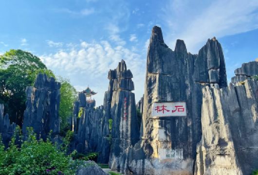 石林风景区+云南省博物馆包车一日游：含门票+省博2小时讲解【[创新线路]包含石林风景区门票+云南省博物馆2小时深度讲解（无线耳麦+预约入园门票）】