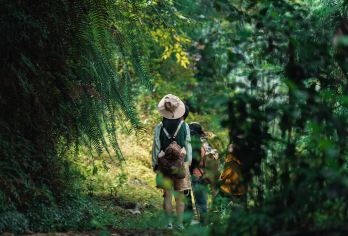 高黎贡山5公里轻徒步一日游（山野厨房+草甸+野温泉+竹筏）【[秘境线路]不走回头路，徒步穿越溪流瀑布，途径各类珍惜动植物，茂密的森林、丰富的植被、草甸、野温泉；】