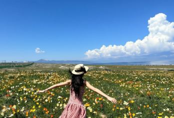 新疆赛里木湖一日游:体验绝色湖泊【[纯玩无购物]无购物无自费无套路！】