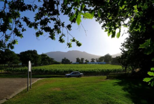 【开普敦包车一日游】博卡普+圣乔治大教堂+码头区+葡萄酒庄【历史与现实的碰撞，体验开普敦的厚重历史与半山海景的惬意风情】