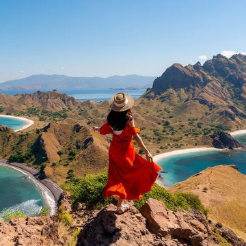 印尼科莫多出海一日游【酒店接送丨粉红沙滩/科莫多巨蜥】
