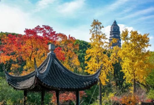 苏州/上海/杭州出发：拙政园+寒山寺+虎丘山一日游【私家团】【私家小团丨小众玩法丨纯玩无购丨独立包车丨行程可调丨随停随走丨时间自由丨上门接送】