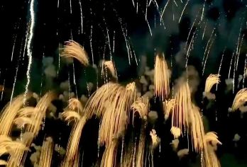 【堪比内场视角】浏阳烟花秀烟花营地门票+往返大巴一日游【[套餐可选]大巴车套餐，以及商务车套餐】