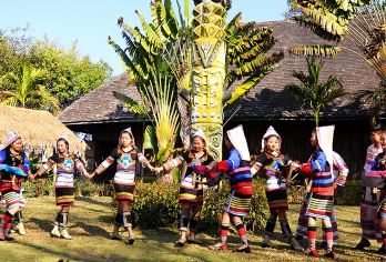 西双版纳野象谷+基诺山寨一日游【精致纯玩团丨司兼导讲解】【[优质服务]真正纯玩，绝无购物，游玩时间充足，轻松享受假期！】